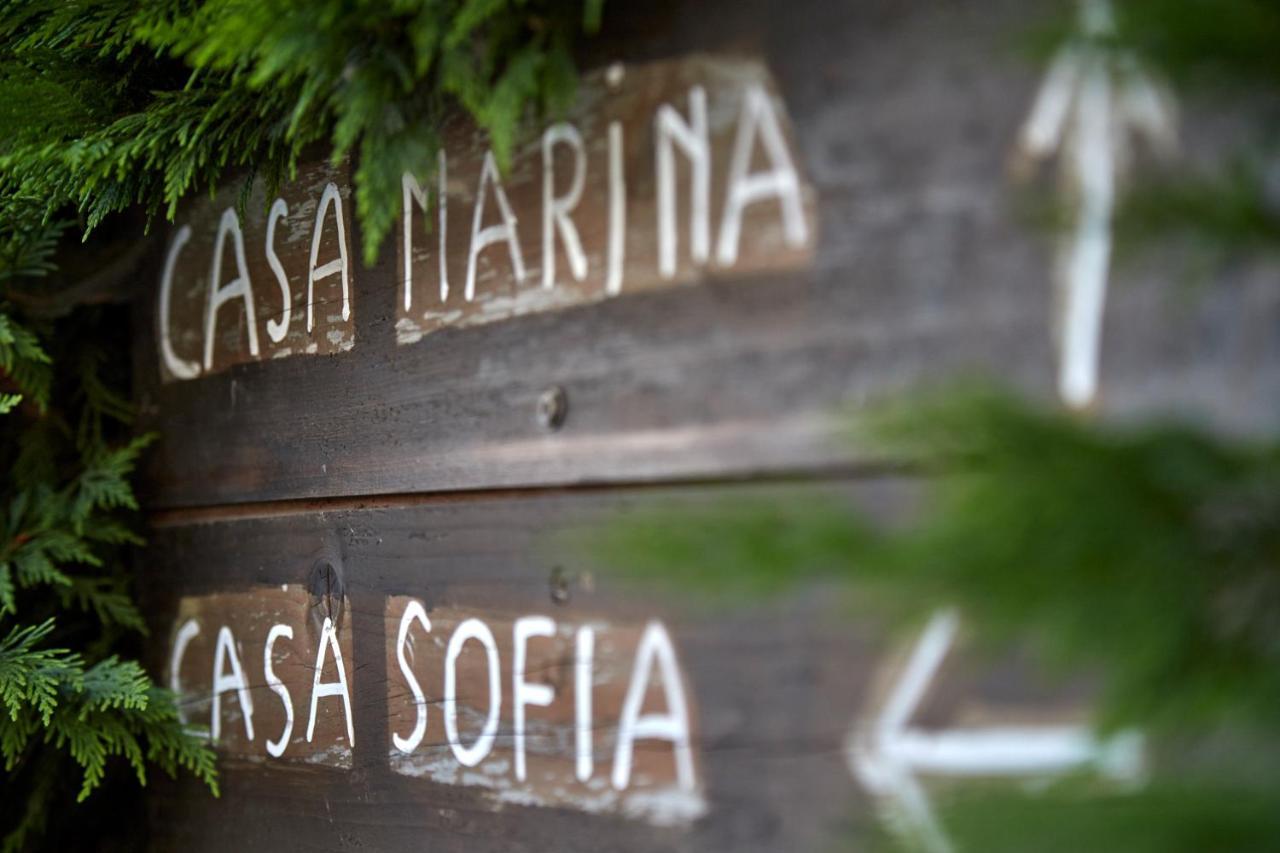 Agriturismo Da Rosy Codevigo Eksteriør billede